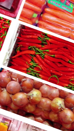 漳浦文贵蔬菜批发 连接田园与餐桌的绿色纽带