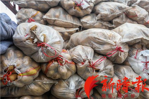 济南匡山蔬菜批发市场紧急筹集200吨蔬菜驰援湖北，彰显鲁鄂情深