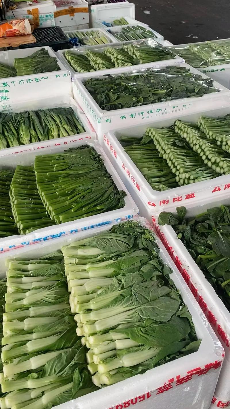 萧岗蔬菜批发市场D065-66档 品种齐全、货源充足的蔬菜批发优选