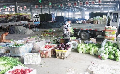 东营蔬菜价格整体走低，菜农增产不增收背后的隐忧