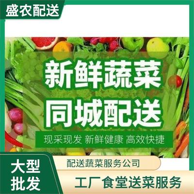 东莞蔬菜配送服务与批发全解析 高效供应链助力健康生活